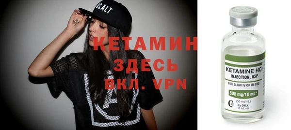 твердый Гусев