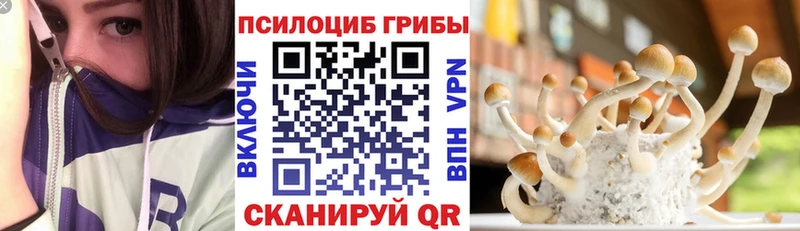 Псилоцибиновые грибы Psilocybine cubensis  наркота  Нестеров 